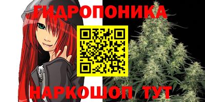ECSTASY Шелехов