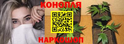 метадон Шебекино