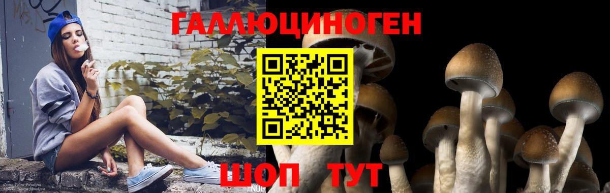 Псилоцибиновые грибы мухоморы Касимов