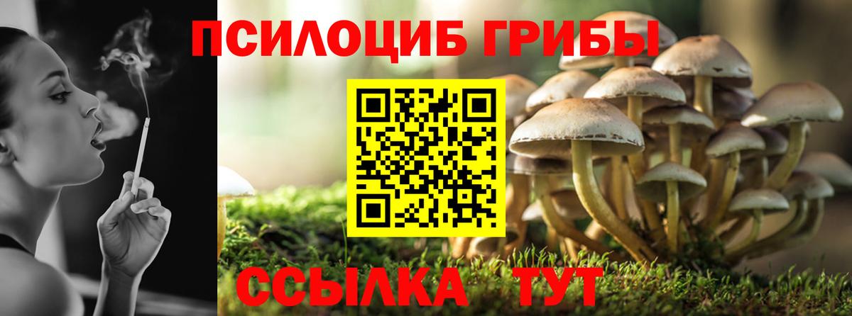 Галлюциногенные грибы Magic Shrooms  Вход с VPN  Касимов 